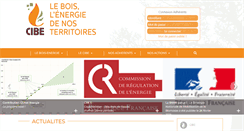 Desktop Screenshot of cibe.fr