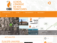 Tablet Screenshot of cibe.fr